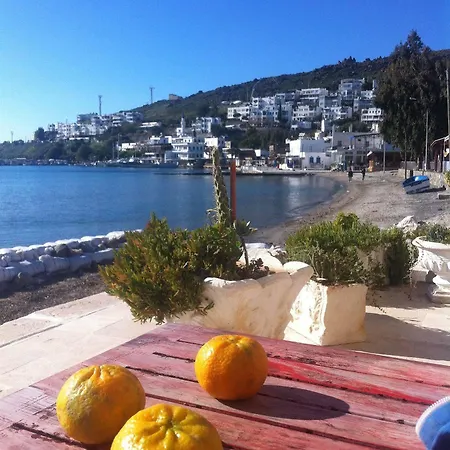 Castelino Akyarlar Bodrum