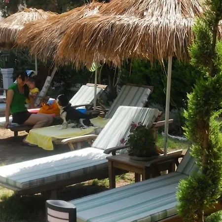 Castelino Akyarlar 호텔 Bodrum