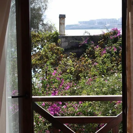 Castelino Akyarlar 호텔 Bodrum