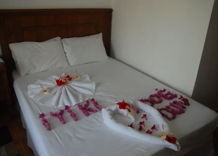 Castelino Akyarlar 博德鲁姆