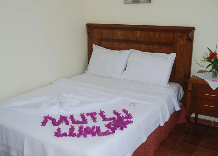 Castelino Akyarlar 4* 博德鲁姆