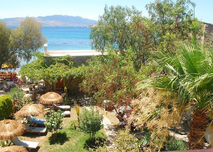 酒店 Castelino Akyarlar 博德鲁姆